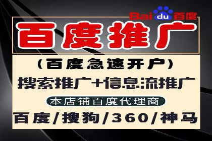 某品牌SEM广告投放案例：如何提高转化率